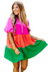 Color Block Tiered Puff Sleeve Dress